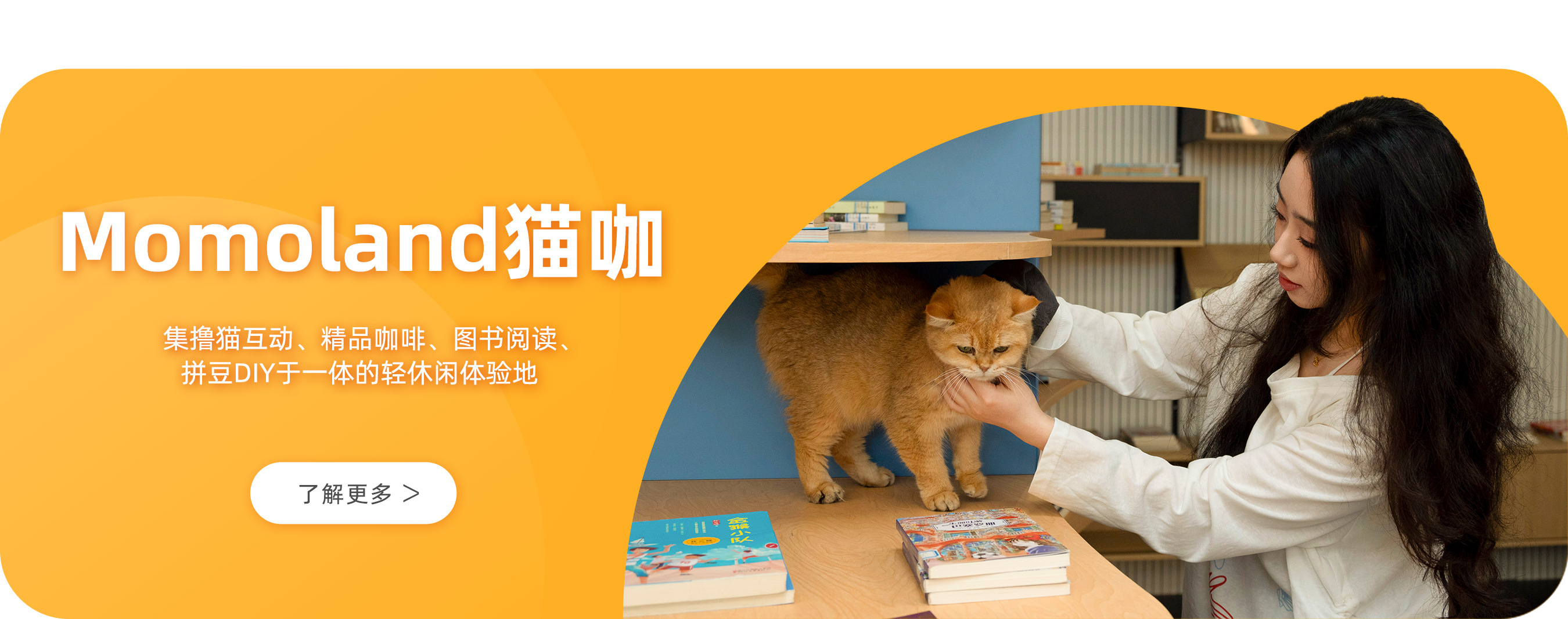 三角屋.png