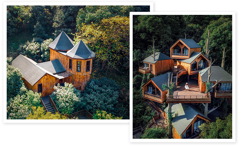 森泊官网 拷贝.png